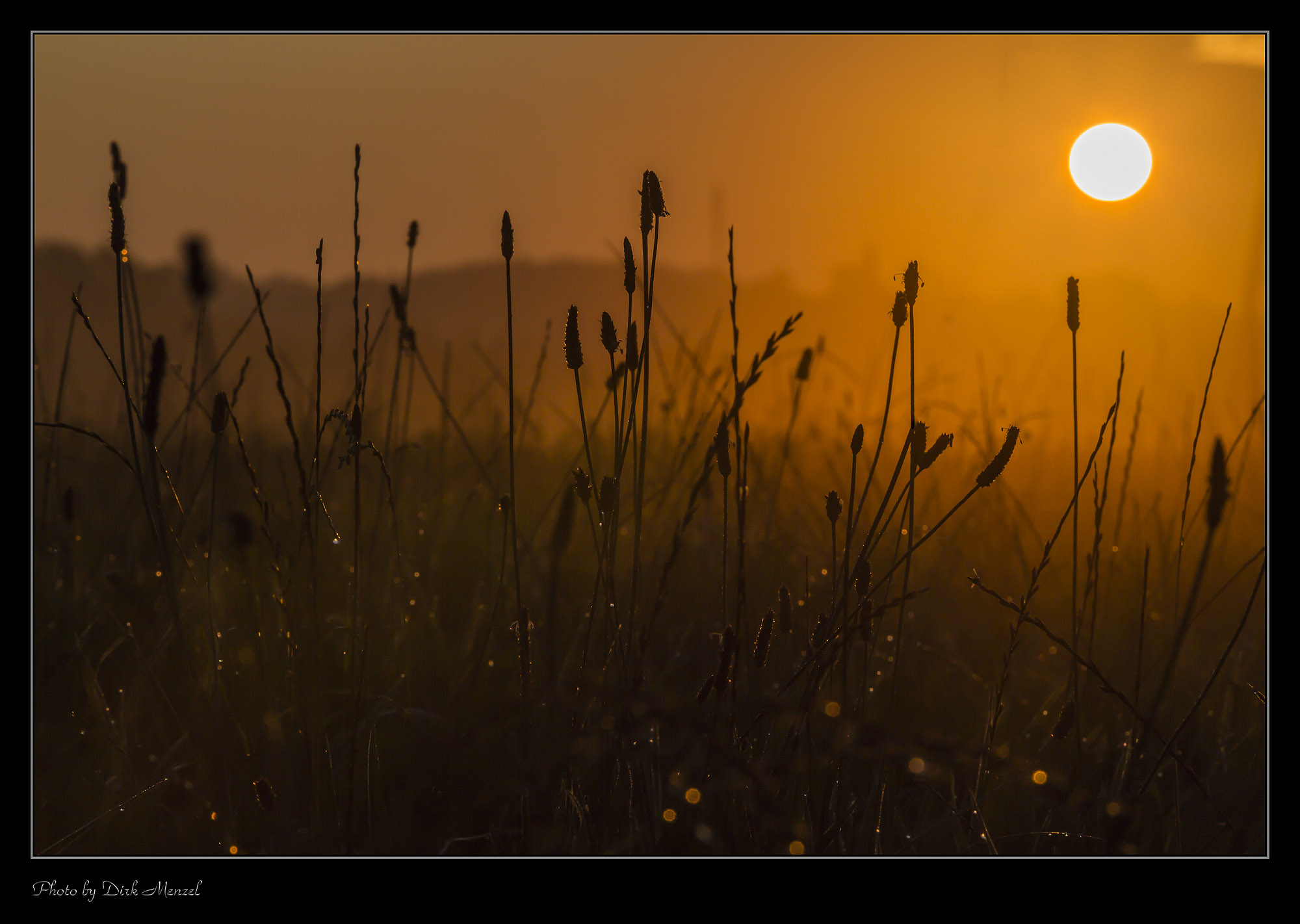 Mordgenstimmung