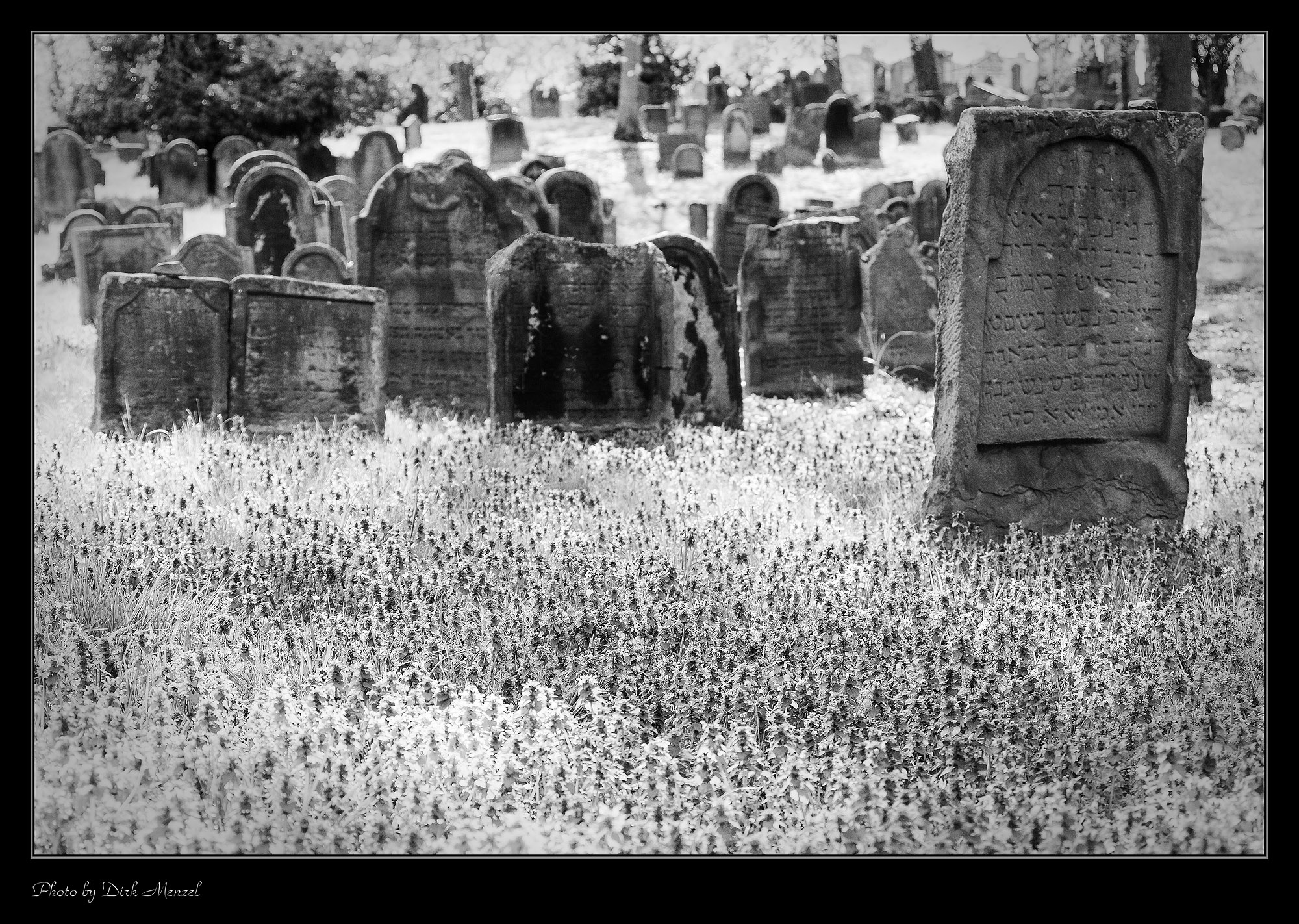 Jüdischer Friedhof "Heiliger Sand"