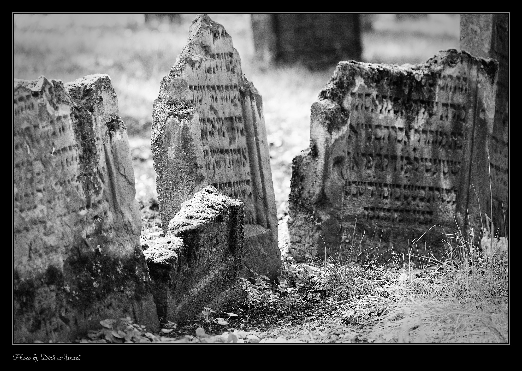Jüdischer Friedhof "Heiliger Sand"