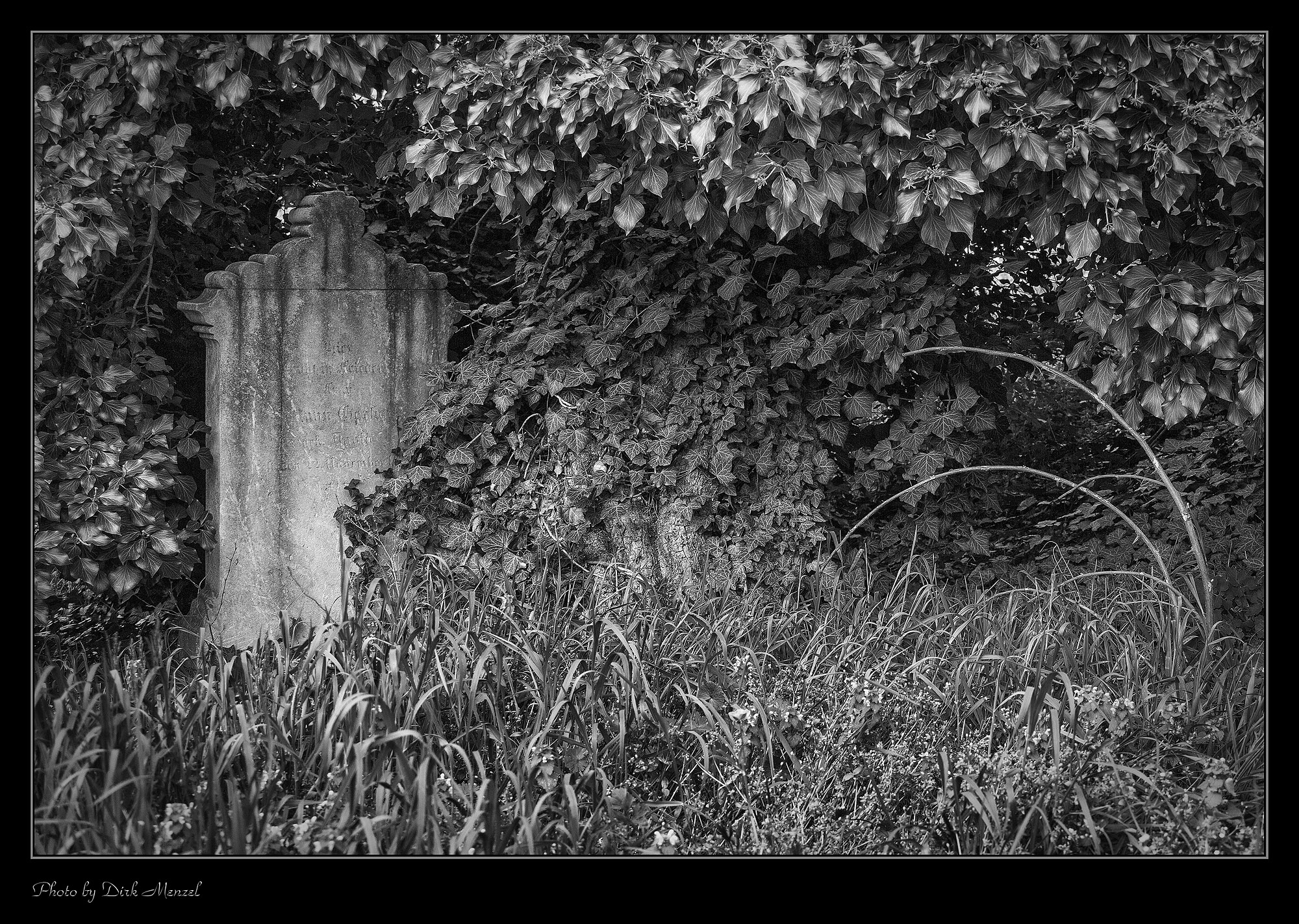 Jüdischer Friedhof "Heiliger Sand"