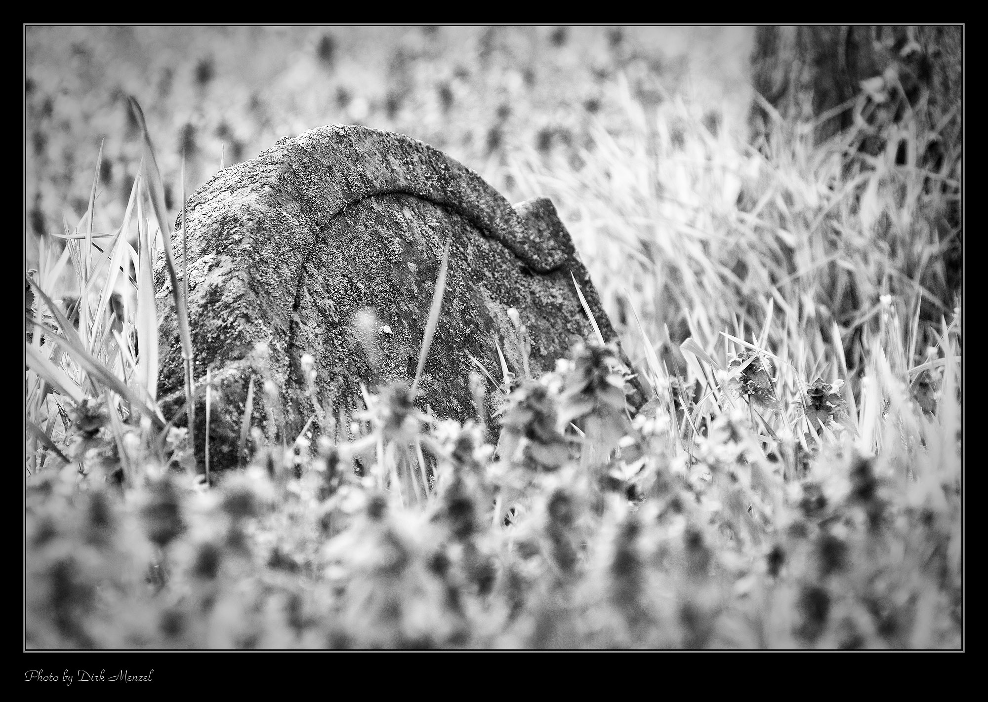 Jüdischer Friedhof "Heiliger Sand"