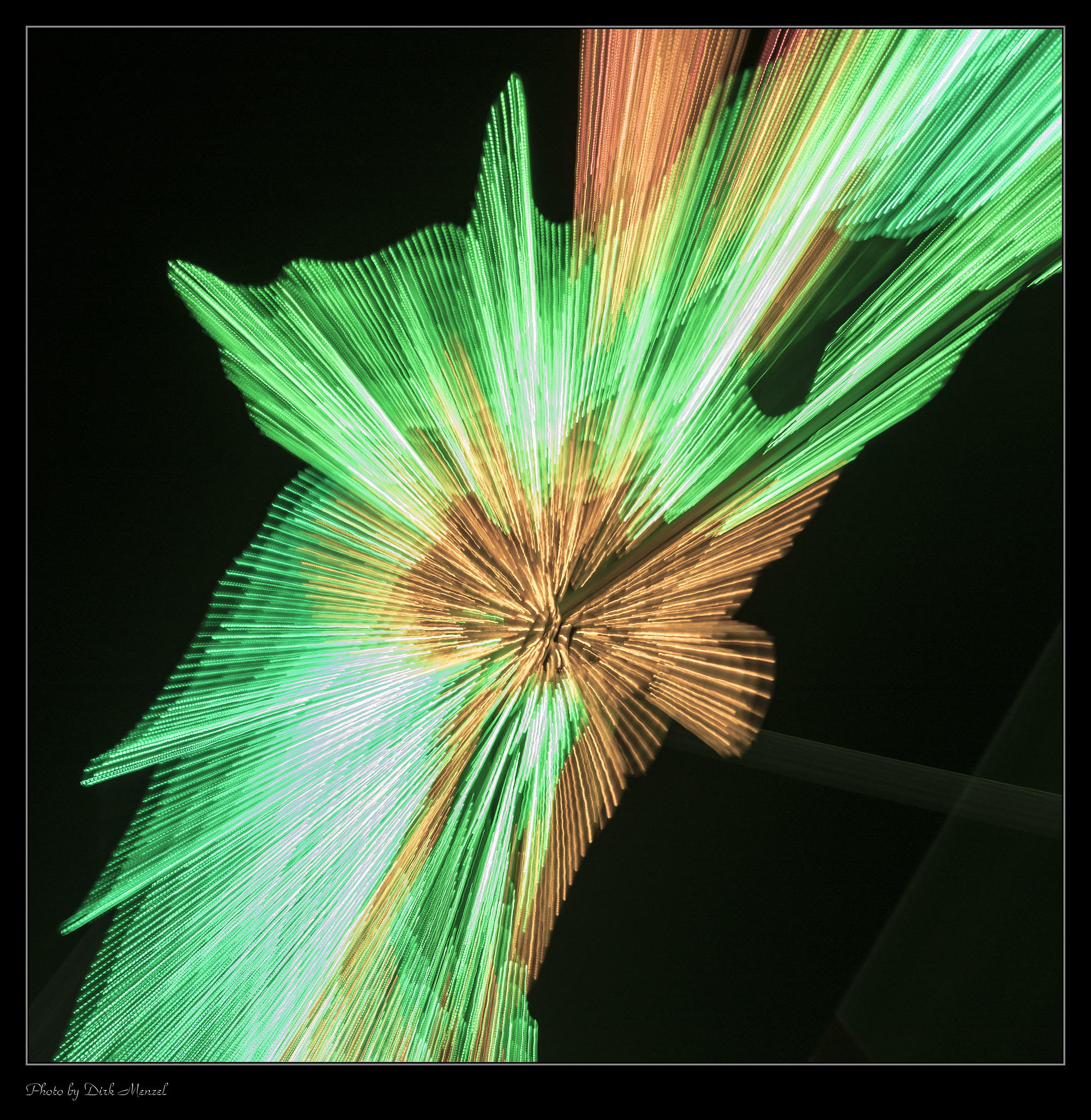 China-Light-Festival im Kölner Zoo